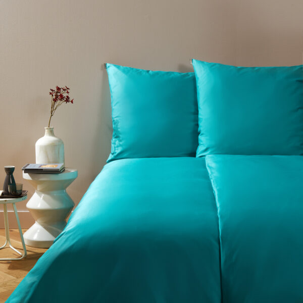 gf_bettwasche_80x80_uni1242_aloe Bassetti Kissenhülle Uni 1242 80x80