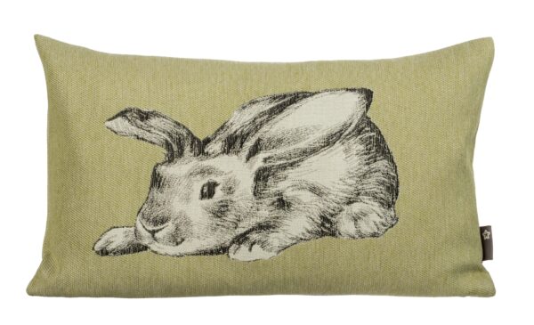 FREDDY_K030x050_PZ FREDDY_K030x050_PZ