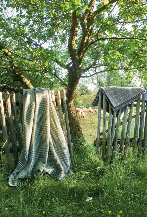 12888_mood_2 Eagle Decke Arthur - native