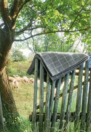 Eagle Decke Franz - native